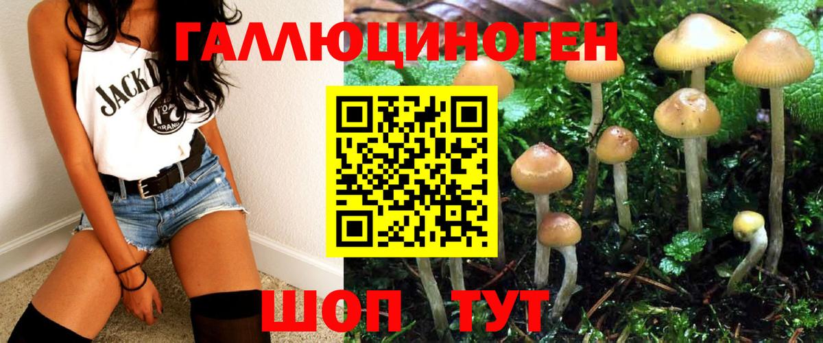 Псилоцибиновые грибы прущие грибы Волгоград